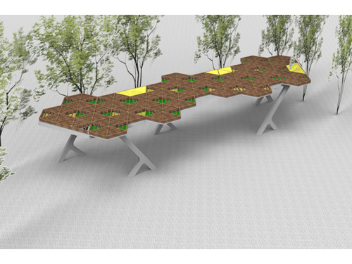 �����ȼ��L��